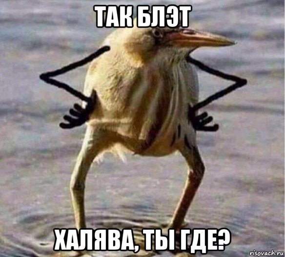 так блэт халява, ты где?, Мем Так Блэт