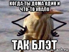 когда ты дома один и что-то упало так блэт