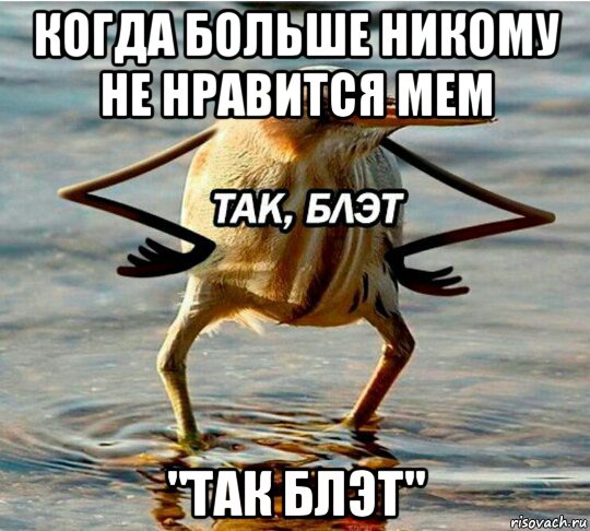 когда больше никому не нравится мем "так блэт"