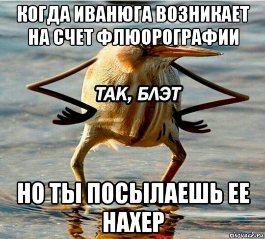 когда иванюга возникает на счет флюорографии но ты посылаешь ее нахер