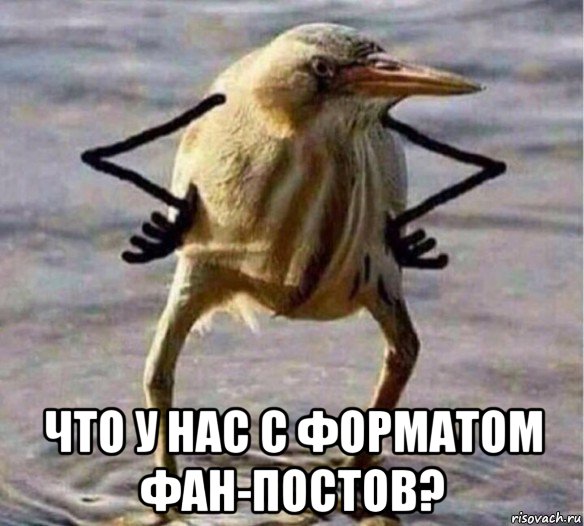  что у нас с форматом фан-постов?, Мем Так Блэт