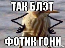 так блэт фотик гони