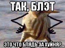 так, блэт это что блядь за хуйня?