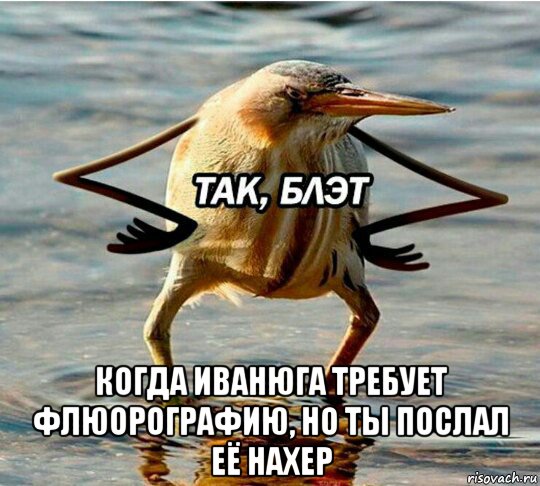  когда иванюга требует флюорографию, но ты послал её нахер