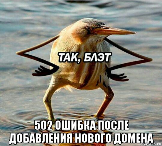  502 ошибка после добавления нового домена