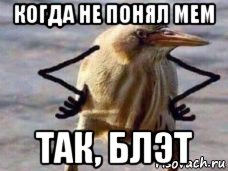 когда не понял мем так, блэт