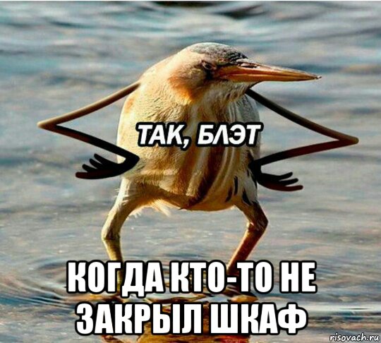  когда кто-то не закрыл шкаф