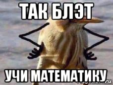 так блэт учи математику