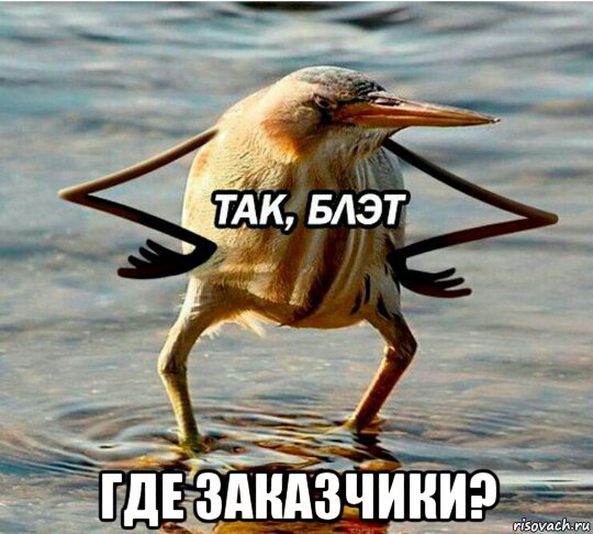  где заказчики?