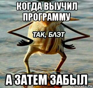 когда выучил программу а затем забыл, Мем Так блэт