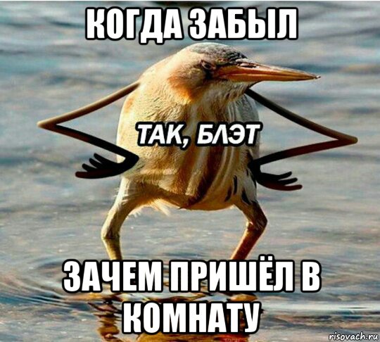 когда забыл зачем пришёл в комнату