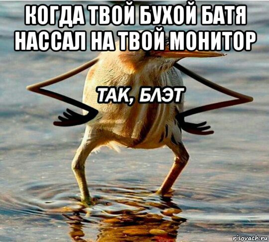 когда твой бухой батя нассал на твой монитор 