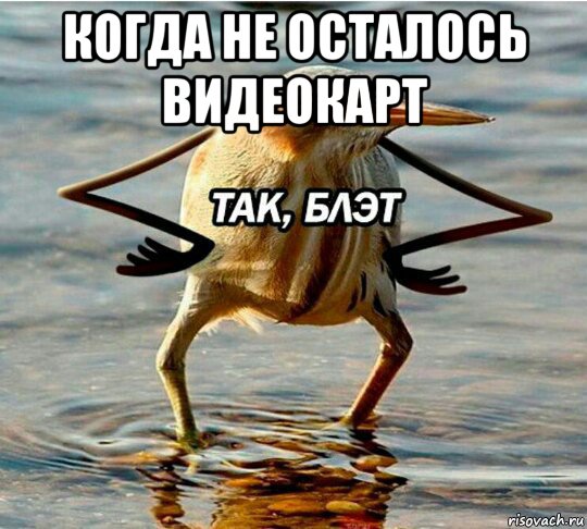 когда не осталось видеокарт 