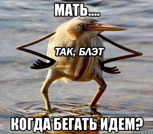мать.... когда бегать идем?