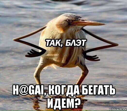  н@gai, когда бегать идем?