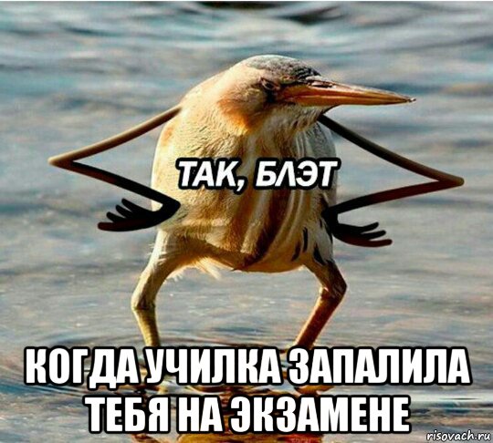  когда училка запалила тебя на экзамене