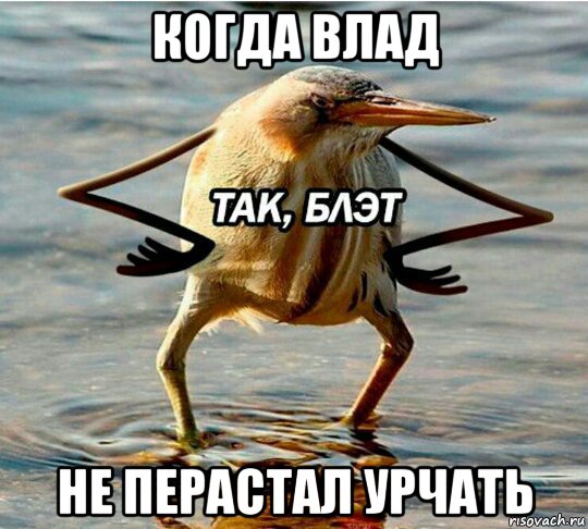 когда влад не перастал урчать