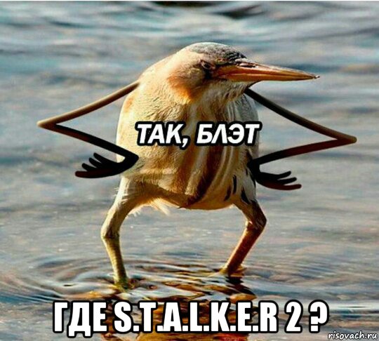  где s.t.a.l.k.e.r 2 ?