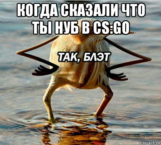 когда сказали что ты нуб в cs:go 