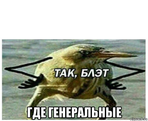  где генеральные