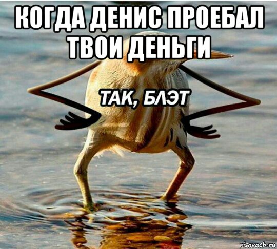 когда денис проебал твои деньги 