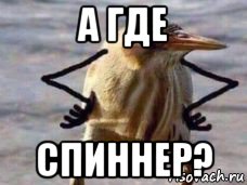 а где спиннер?