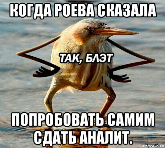 когда роева сказала попробовать самим сдать аналит.