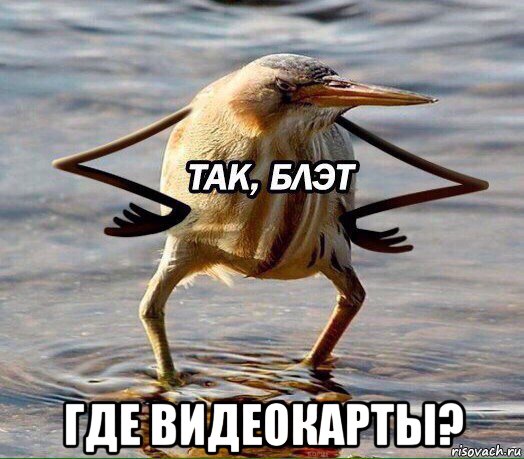  где видеокарты?
