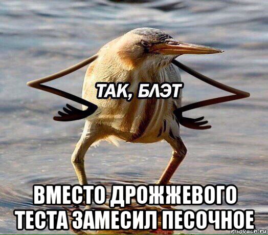  вместо дрожжевого теста замесил песочное