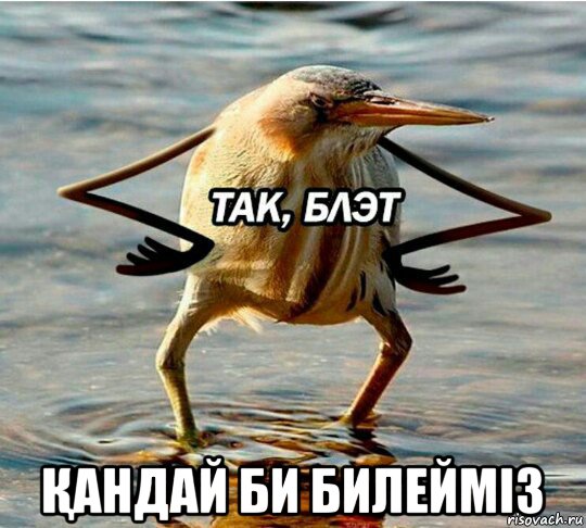  Қандай би билейміз