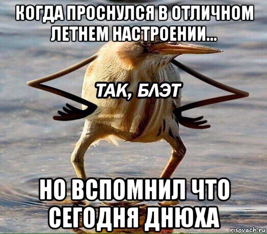 когда проснулся в отличном летнем настроении... но вспомнил что сегодня днюха