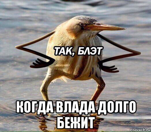  когда влада долго бежит