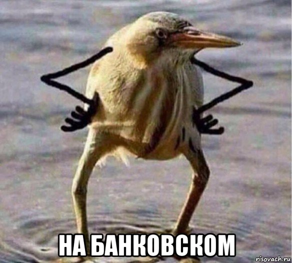  на банковском, Мем Так Блэт