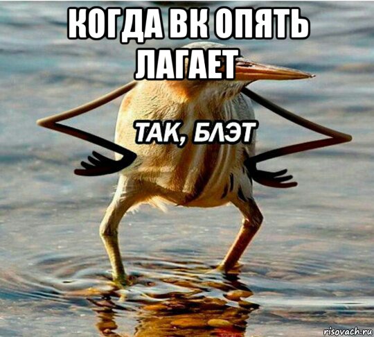 когда вк опять лагает 
