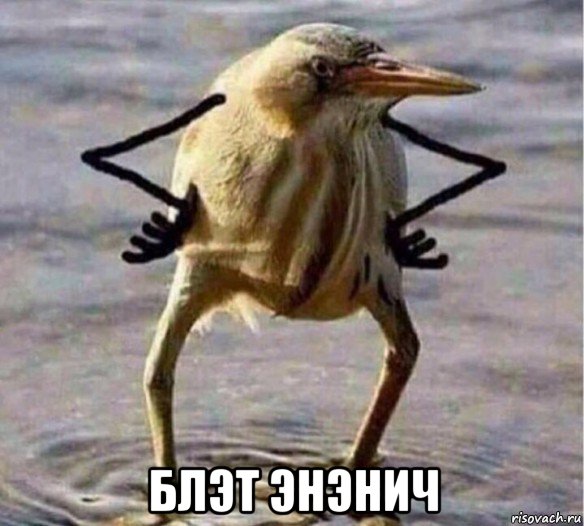  блэт энэнич, Мем Так Блэт