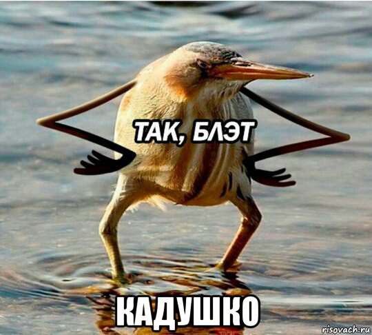  кадушко