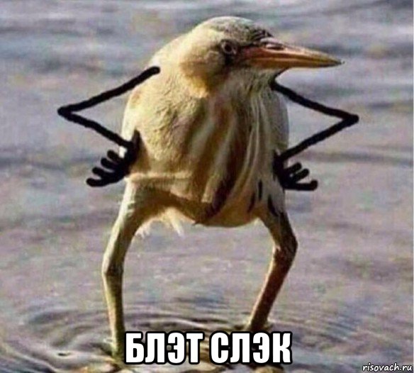  блэт слэк