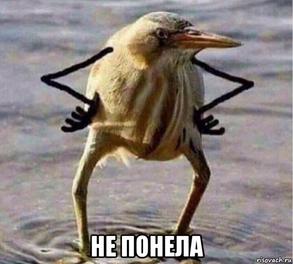  не понела, Мем Так Блэт