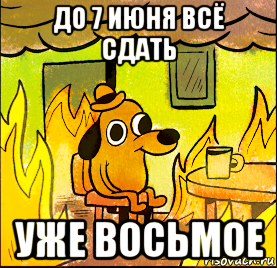 до 7 июня всё сдать уже восьмое
