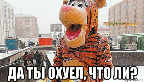  да ты охуел, что ли?, Мем Тигруля