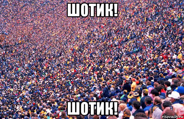 шотик! шотик!