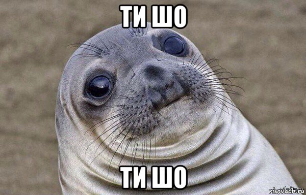 ти шо ти шо