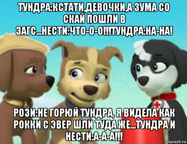 тундра:кстати,девочки,а зума со скай пошли в загс...нести:что-о-о!!!тундра:ha-ha! рози:не горюй тундра, я видела как рокки с эвер шли туда же...тундра и нести:а-а-а!!!