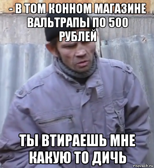 - в том конном магазине вальтрапы по 500 рублей ты втираешь мне какую то дичь, Мем  Ты втираешь мне какую то дичь