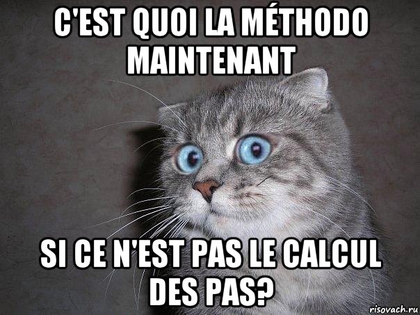 c'est quoi la méthodo maintenant si ce n'est pas le calcul des pas?, Мем  удивлённый кот