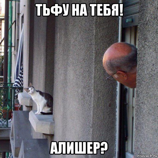 тьфу на тебя! алишер?, Мем Удивлённый кот
