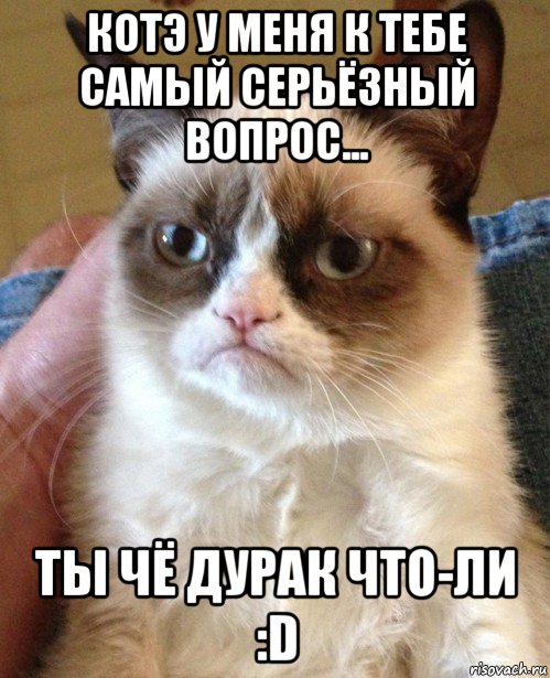 котэ у меня к тебе самый серьёзный вопрос... ты чё дурак что-ли :d