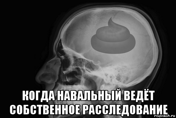  когда навальный ведёт собственное расследование