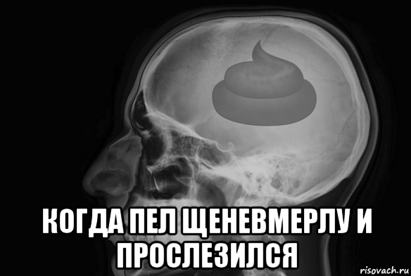  когда пел щеневмерлу и прослезился