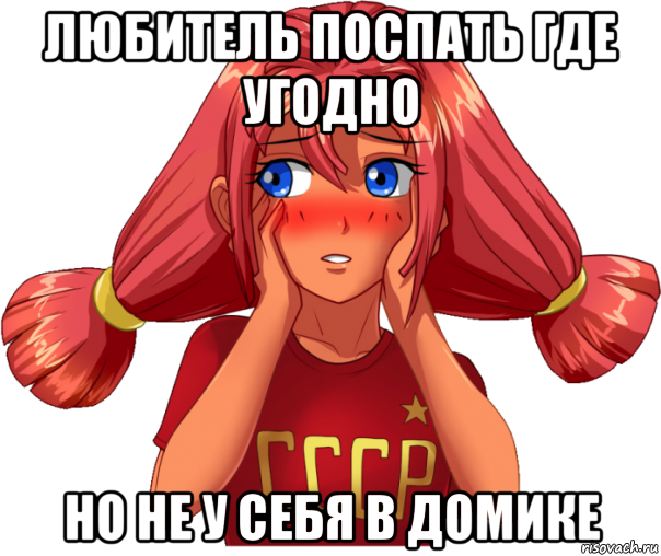 любитель поспать где угодно но не у себя в домике